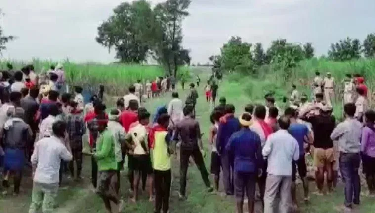 9 लोगों की जान लेने वाला आदमखोर बाघ ढेर, 7 घंटे चले ऑपरेशन के बाद शूटर्स ने मार गिराया