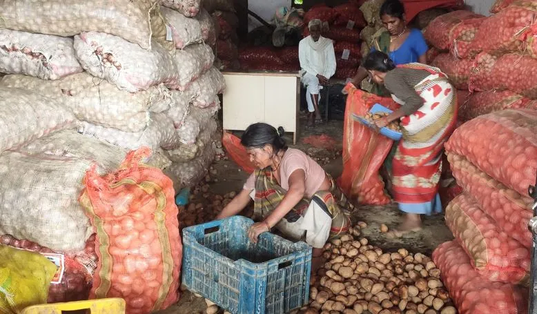 बरेली: डेलापीर मंडी में आवक कम हुई तो 5 से 10 रुपये महंगी हो गईं सब्जियां