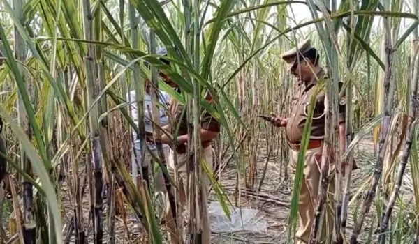 अमरोहा : लापता बालक का खेत में मिला शव, कुकर्म की आशंका