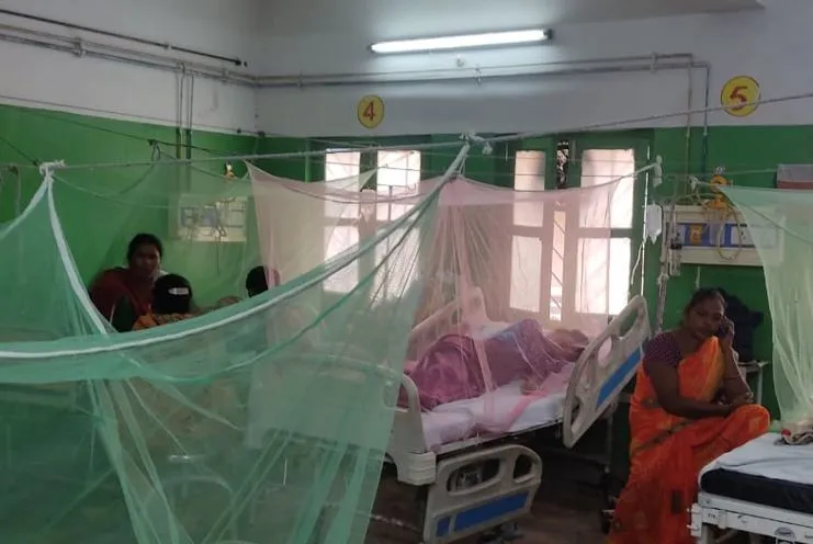 बरेली: 21 स्थानों पर मिला जानलेवा डेंगू का लार्वा, नगर स्वास्थ्य अधिकारी ने गठित की टीमें