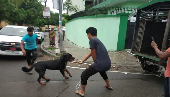 कानपुर: रॉटविलर ने 14 साल के बच्चे पर किया हमला, पैर का मांस निकाला, नगर निगम ने किया जब्त