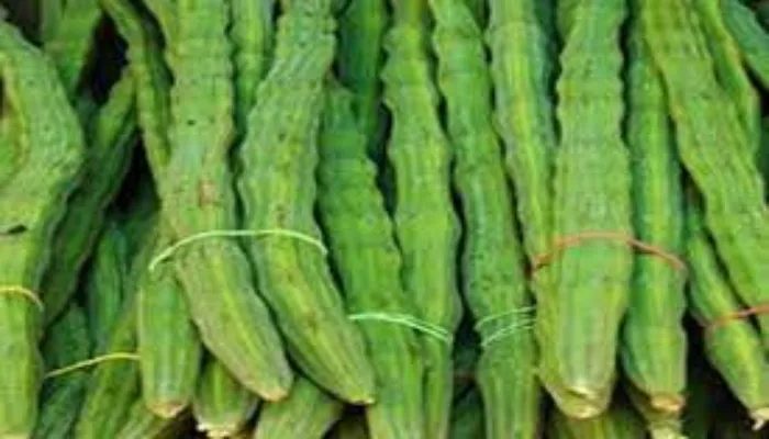 लखनऊ: आयुर्वेद के बारे में चला जागरूकता अभियान, बोले विशेषज्ञ- बच्चों के लिए सहजन है फायदेमंद