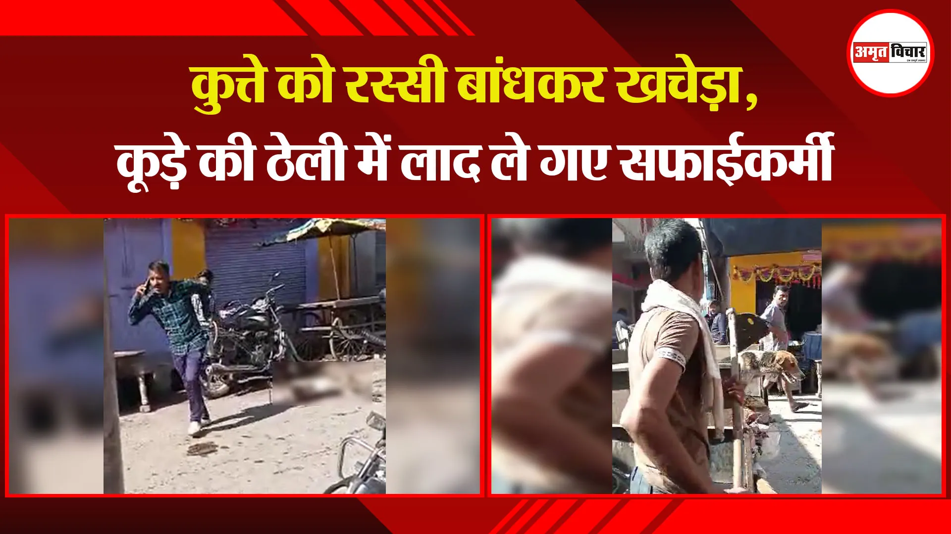 बरेली: कुत्ते को रस्सी बांधकर खचेड़ा, कूड़े की ठेली में लाद ले गए सफाईकर्मी