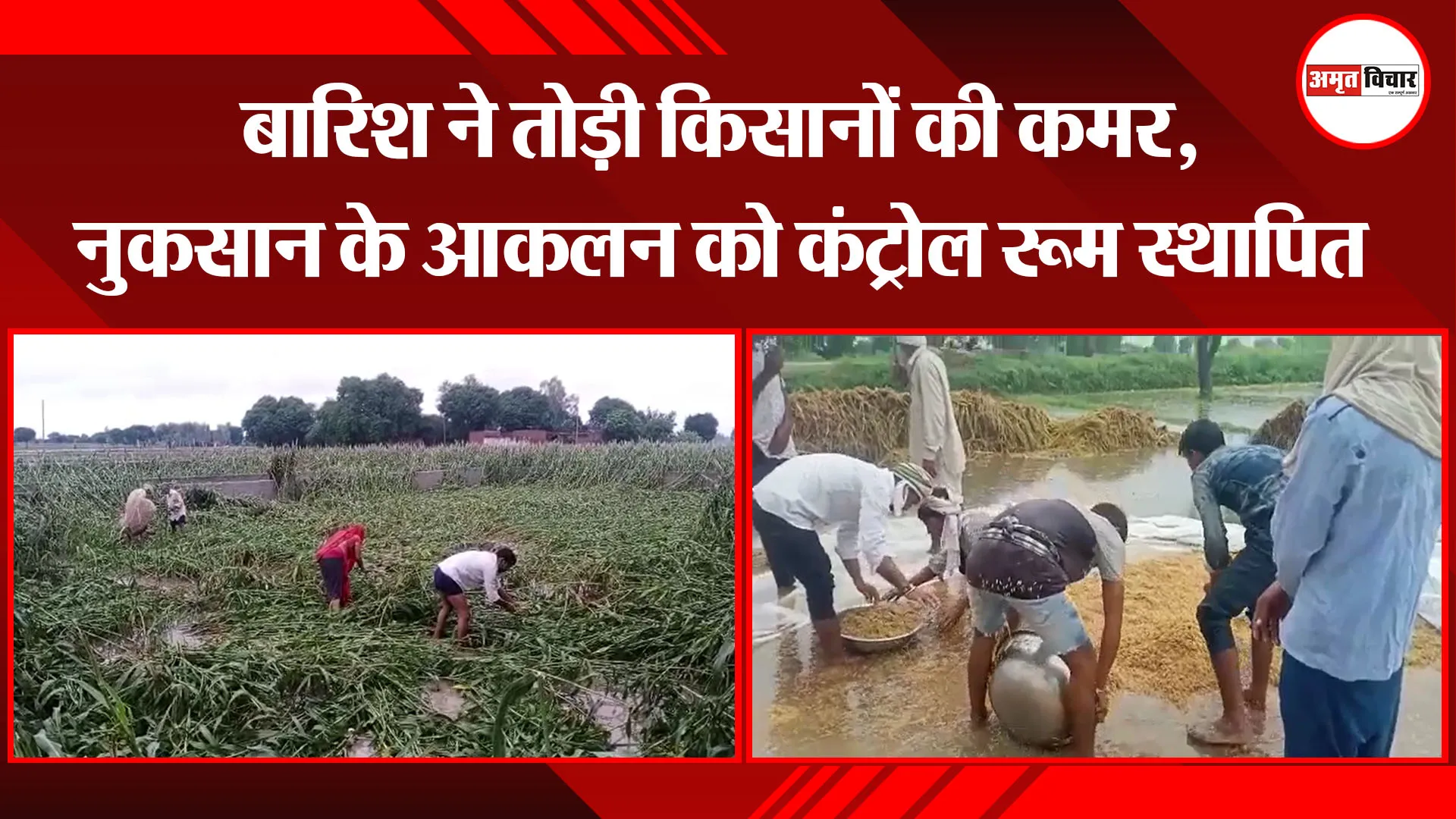 मथुरा: बारिश ने तोड़ी किसानों की कमर, नुकसान के आकलन को कंट्रोल रूम स्थापित