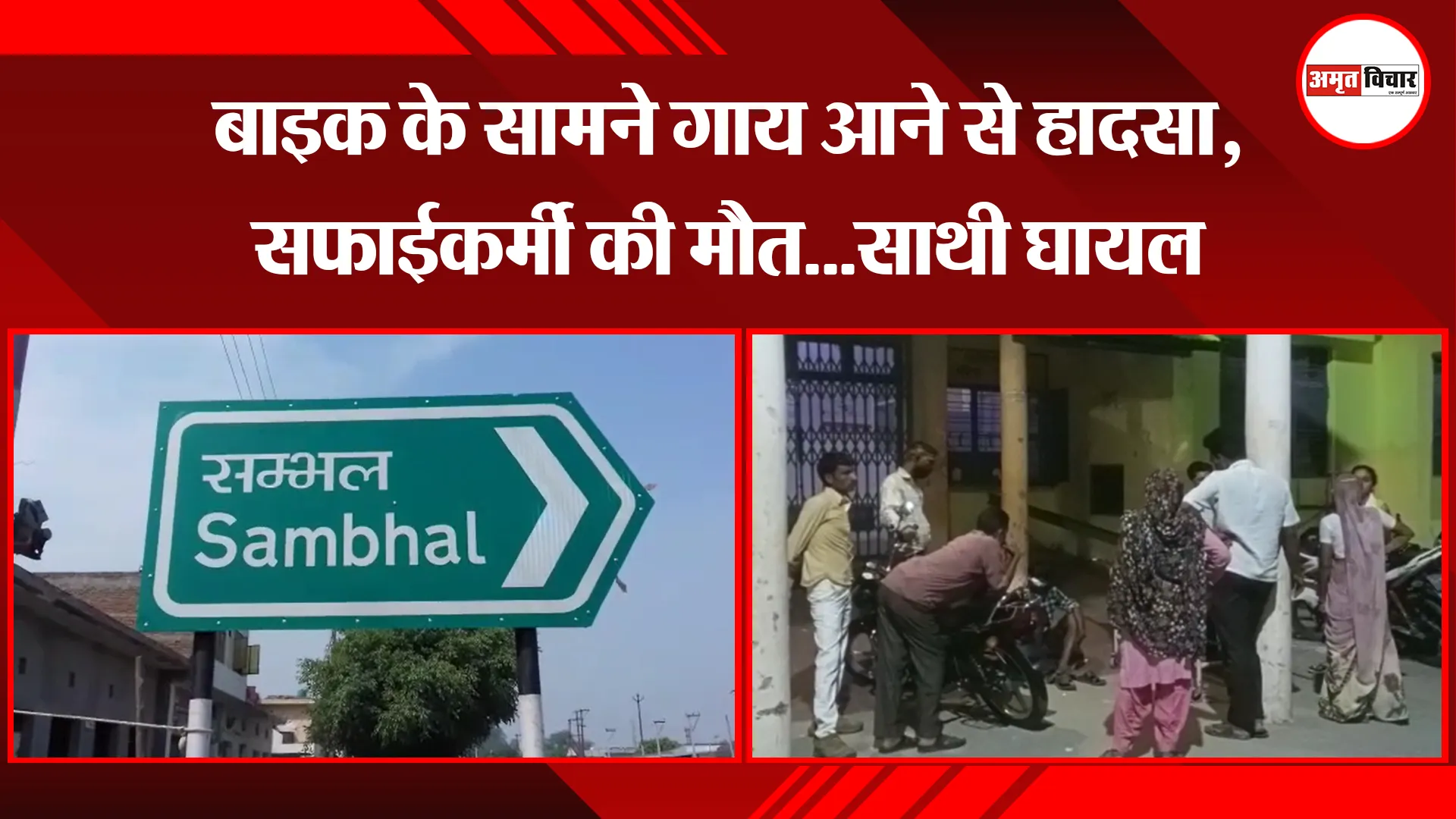 संभल: बाइक के सामने गाय आने से हादसा, सफाईकर्मी की मौत…साथी घायल