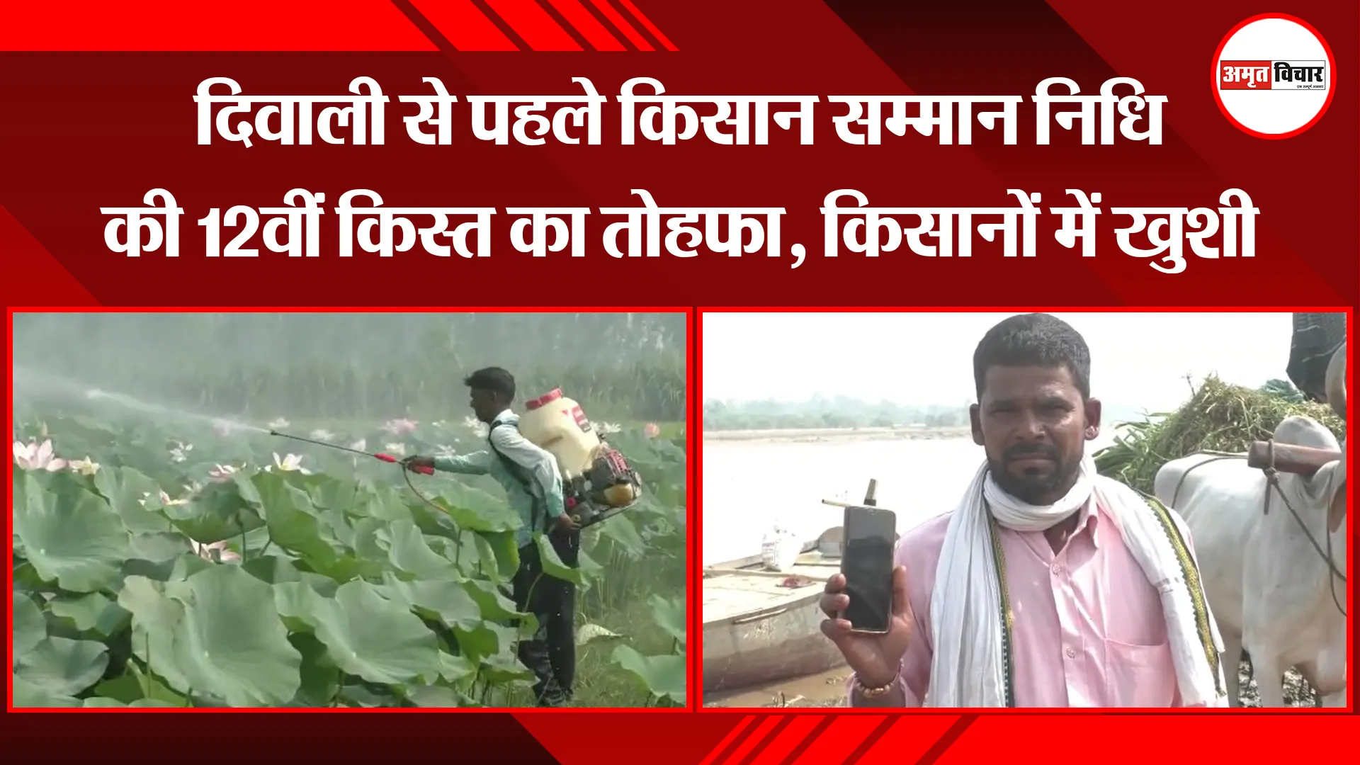 मुरादाबाद: दिवाली से पहले किसान सम्मान निधि की 12वीं किस्त का तोहफा, किसानों में खुशी