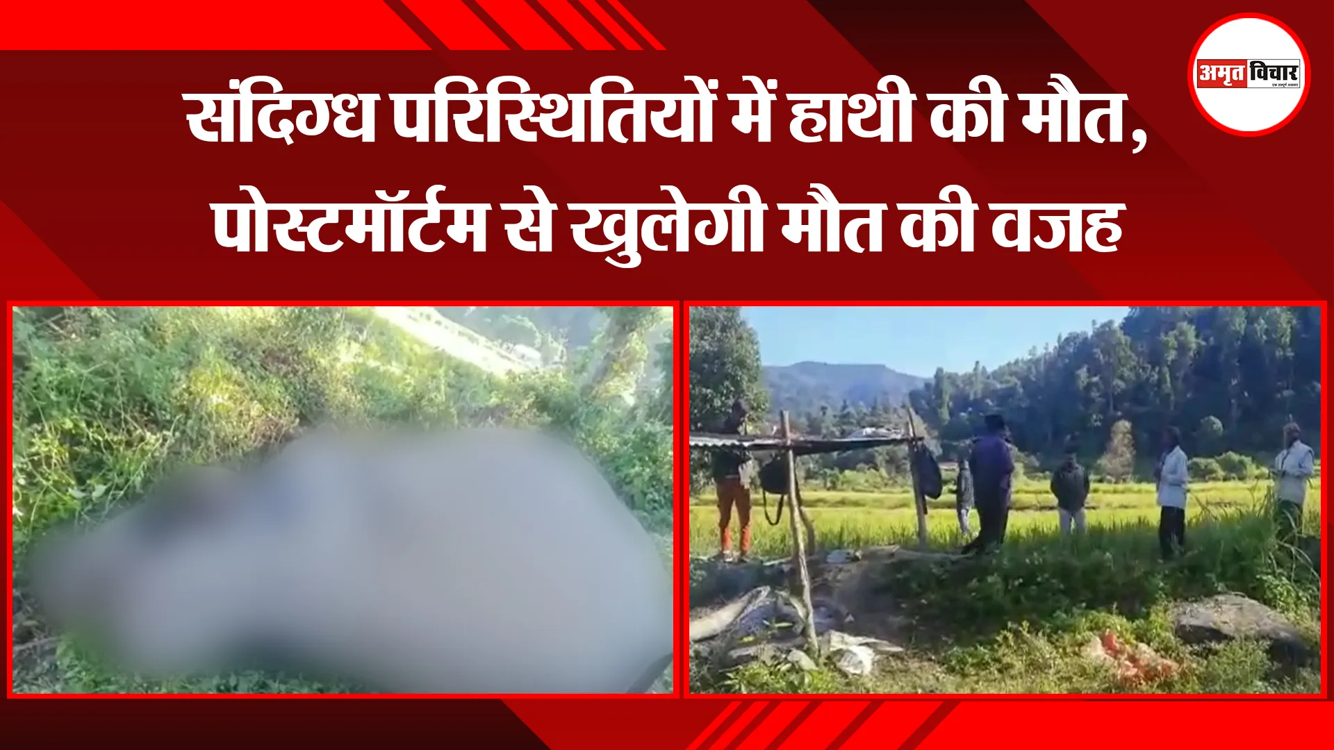 बरेली: तालाब में डूबने से 3 बच्चों की मौत, खेत पर खाना पहुंचाकर लौटते वक्त हुआ हादसा