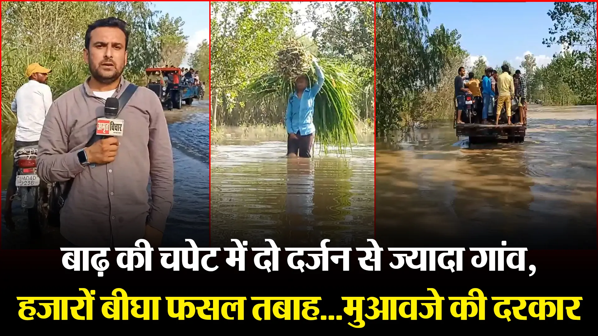 मुरादाबाद: बाढ़ की चपेट में दो दर्जन से ज्यादा गांव, हजारों बीघा फसल तबाह…मुआवजे की दरकार