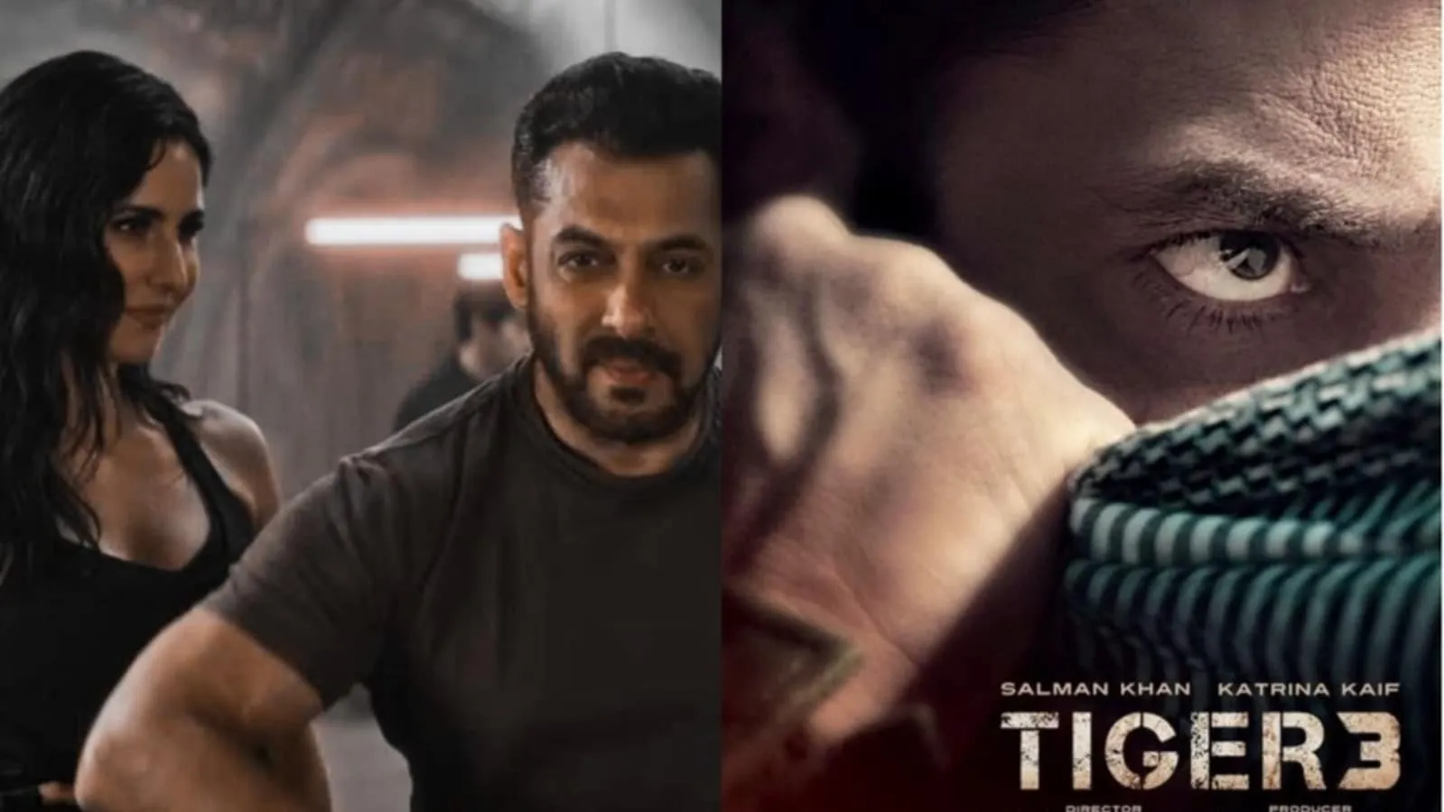 Tiger 3 Movie Release: इंतजार खत्म…हो गया ऐलान, इस दिन सिनेमाघरों में आने वाला है टाइगर