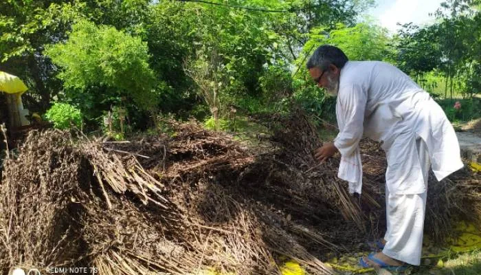 हमीरपुर: दाल का कटोरा कहा जाने वाला बुंदेलखंड खरीफ में भारी बारिश से रह गया खाली