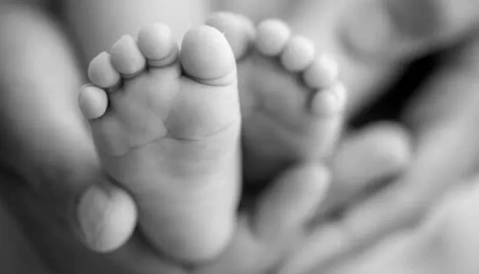 भदोही: पत्थरदिल मां-बाप ने नवजात शिशु को झाड़ी में फेंका, कुत्तों का बना निवाला