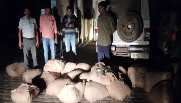 हमीरपुर: पुलिस ने दो बोलेरो से बरामद किया 12 क्विंटल मिलावटी खोवा