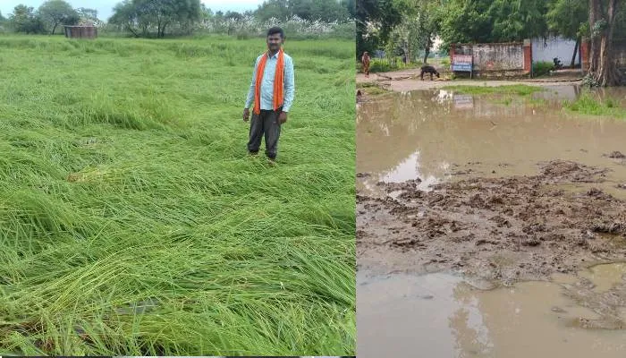 रायबरेली में हर तरफ दिख रहे हैं बरसात से हुई बर्बादी के निशां