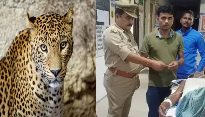 बहराइच: खेत से घर आ रहे किसान पर तेंदुए ने किया हमला, सीएचसी से जिला अस्पताल रेफर