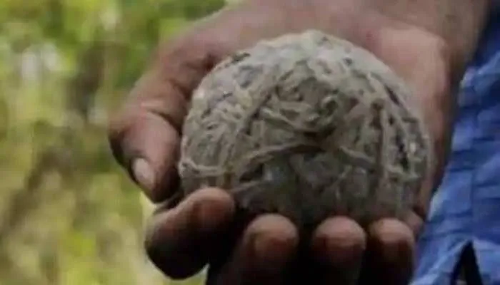 अयोध्या: पुलिस की मौजूदगी में फटा देसी बम, युवक की हथेली उड़ी