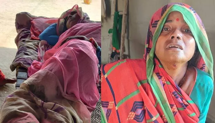 बहराइच: स्टेशन जा रही महिलाओं को हाथियों दौड़ाया, पांच घायल