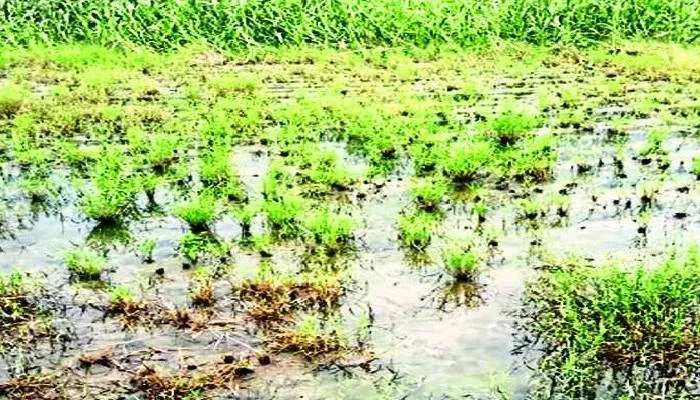 अयोध्या: बाढ़ व अतिवृष्टि की समीक्षा करने इसी सप्ताह अयोध्या आएंगे नोडल अधिकारी