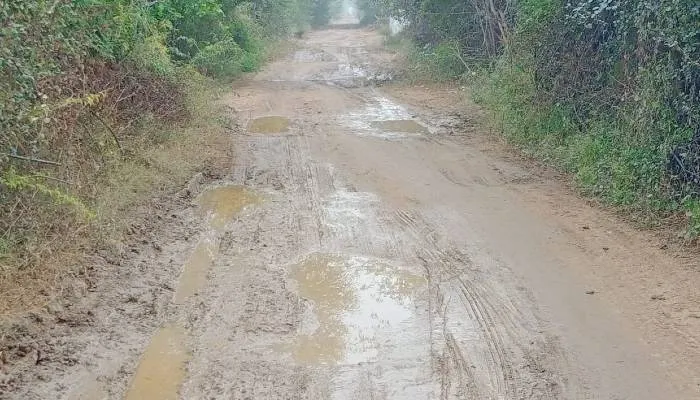 हमीरपुर: टूटी सड़कों से ग्रामीणों को जल्द मिलेगी निजात