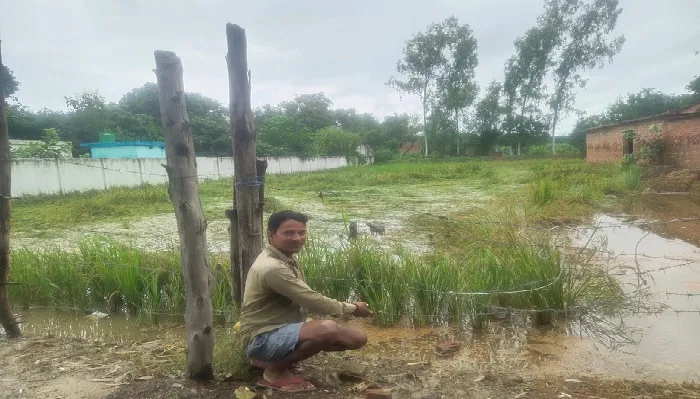 बेमौसम बरसात ने किसान को रुलाया, फसलें तबाह…