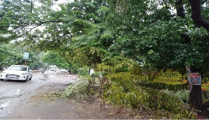 लखनऊ: गरज के साथ बारिश ने मचाई तबाही, बिजली गुल, कई जगह गिरे पेड़