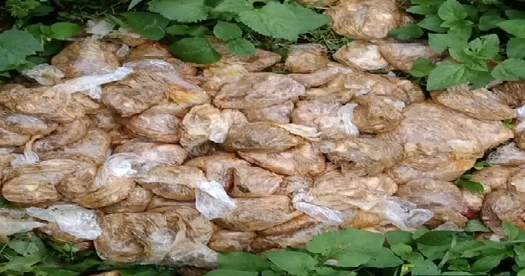 धन का दुरुपयोग : कचरे में फेंका जा रहा बाढ़ पीड़ितों का खाना