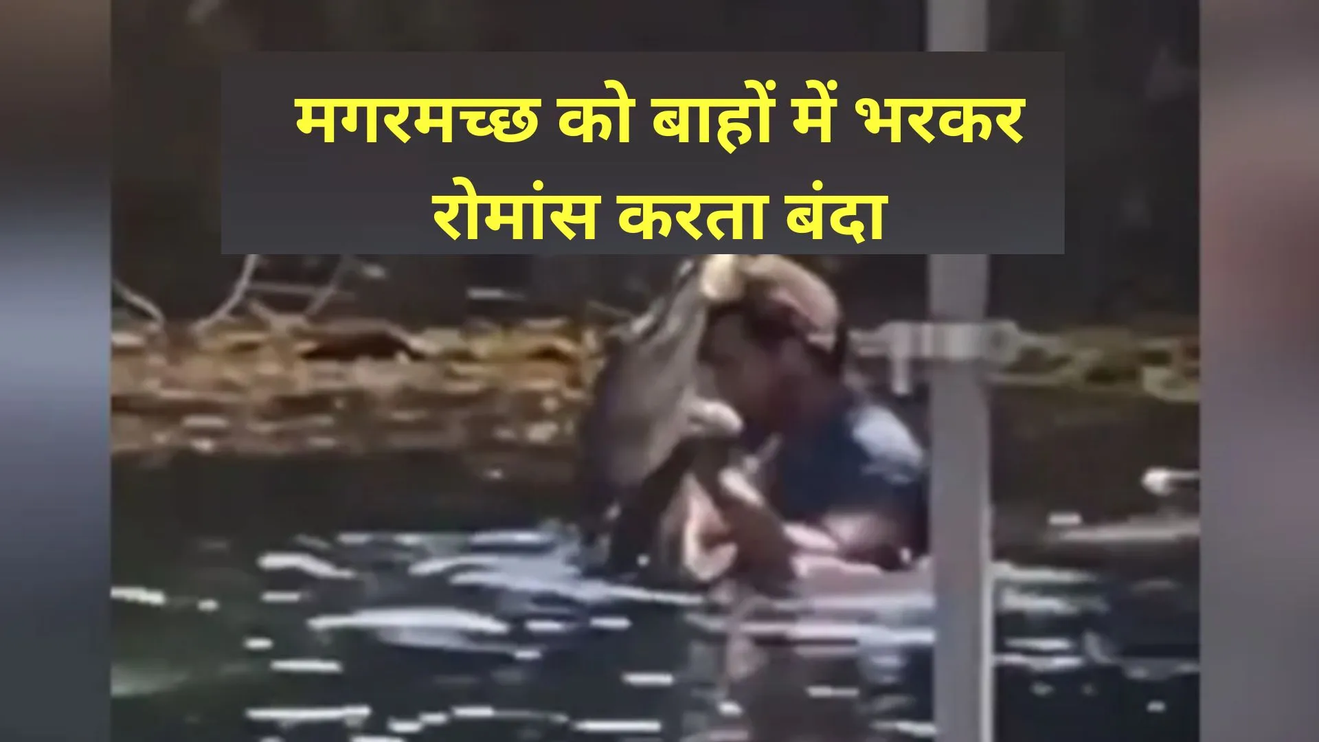 Video: अगर-मगर नहीं…ये है प्रेम की डगर! मगरमच्छ को बाहों में भरकर रोमांस करता बंदा