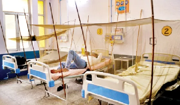 मुरादाबाद : जिले में बढ़ रहे डेंगू-मलेरिया के मरीज, नियंत्रण के उपाय नदारद