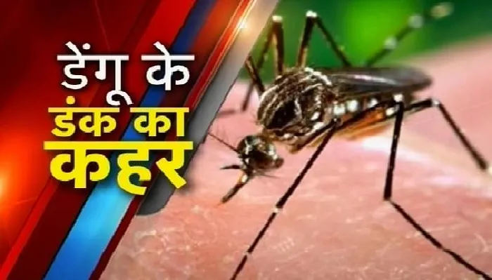 हरदोई : जिले में डेंगू की दस्तक, स्वास्थ्य महकमा बे-खबर