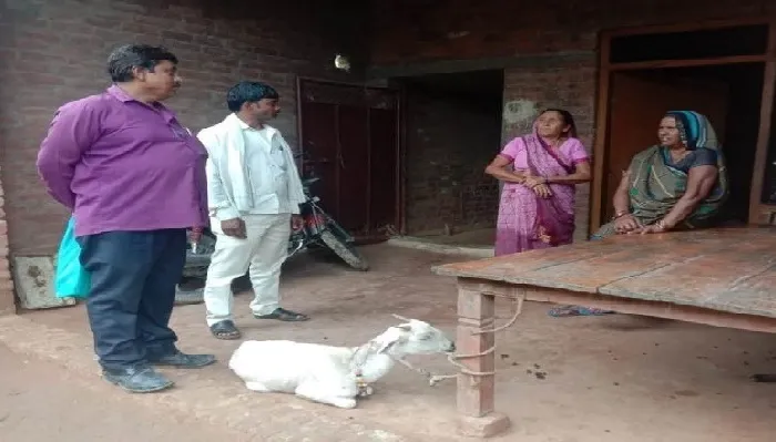 दहशत कायम : वन विभाग की टीम ने कहा- तेंदुआ नहीं लकड़बग्घा के पंजों के हैं निशान