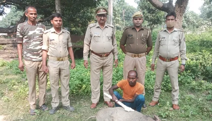 कामयाबी : सूअर का शिकार करते शिकारी गिरफ्तार, दो फरार