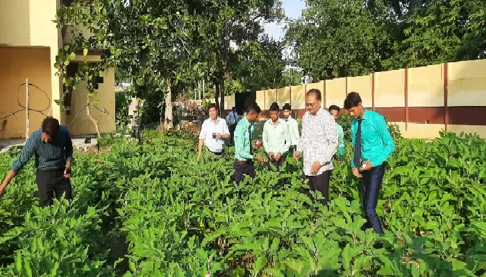 सब्जियों का उत्पादन : कृषि विश्वविद्यालय के छात्रों को मिलेगी स्वस्थ थाली