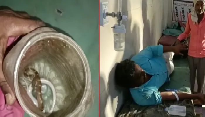 सर्पदंश : सांप के काटने पर डिब्बे में किया बंद, फिर पहुंचा अस्पताल