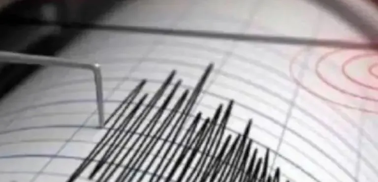 Earthquake in Chhattisgarh: छत्तीसगढ़ में हिली धरती, महसूस किए गए भूकंप के झटके