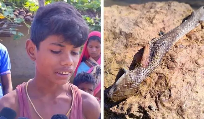 पहले सांप ने बच्चे को काटा, फिर बच्चे ने सांप को काट लिया, इसके बाद जो हुआ वो अद्भुत था!