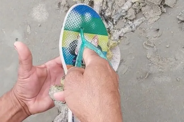 0_PAY-Couple-finds-eerie-ALIEN-HAND-on-beach