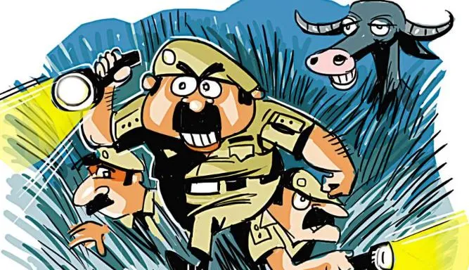बरेली: पड़ोसी के भैंस की पूंछ काट आरोपी फरार, पहले भी कर चुका है पीड़ित पर जानलेवा वार
