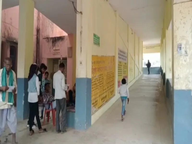 रायबरेली: बारात से लौट रही कार पेड़ से टकराई, बच्चे समेत आधा दर्जन घायल 