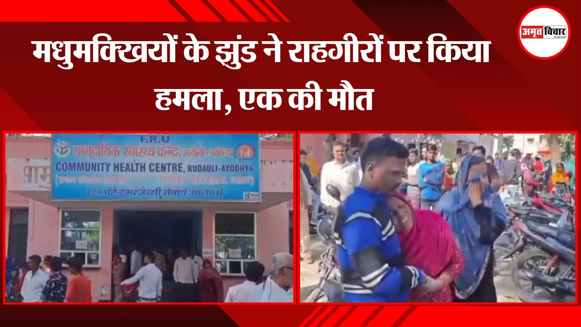 अयोध्या:  मधुमक्खियों के झुंड ने राहगीरों पर किया हमला, एक की मौत