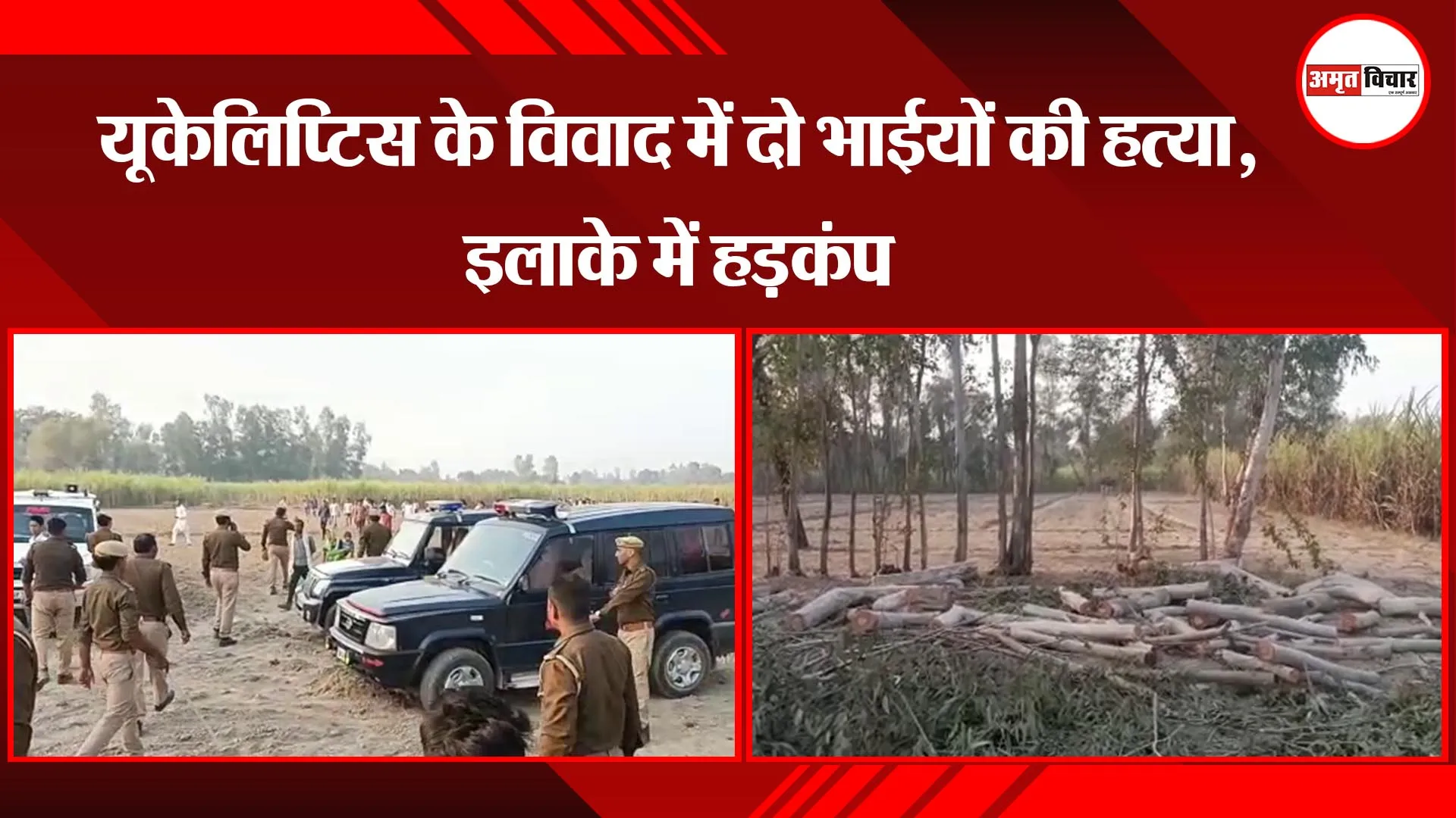 सीतापुर: यूकेलिप्टिस के विवाद में दो भाईयों की हत्या, इलाके में हड़कंप