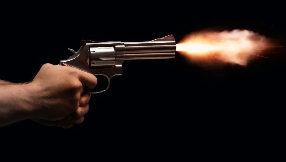 काशीपुर: मामूली विवाद में तमंचा से झोंका फायर