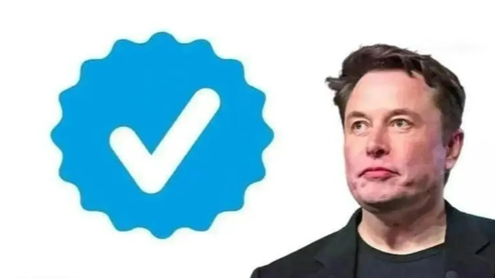 Elon Musk 29 नवंबर को Twitter की 'Blue Tick' सब्सक्रिप्शन सेवा फिर शुरू करेंगे 