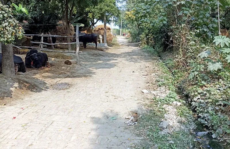 सर्वे में खुलासा : 835 में से 585 ग्राम पंचायतों में बने ही नहीं खेल मैदान, 272 ग्राम पंचायतों में  हो सकी सुविधा