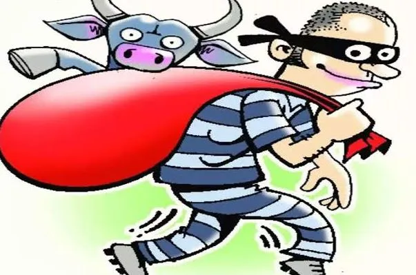 बिजनौर: भाजपा नेता को तमंचा दिखाकर तीन भैंसें ले गए बदमाश, विरोध करने पर दी जान से मारने की धमकी