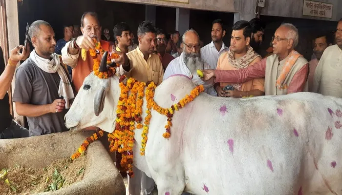 गोवंशों के लिए सरकारों को दिखानी होगी दृढ़ इच्छा शक्ति :चम्पत राय