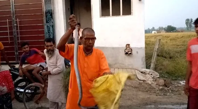 बरेली: हजारों सांप पकड़े, जिंदगियां बचाईं, मगर खुद न बच पाए