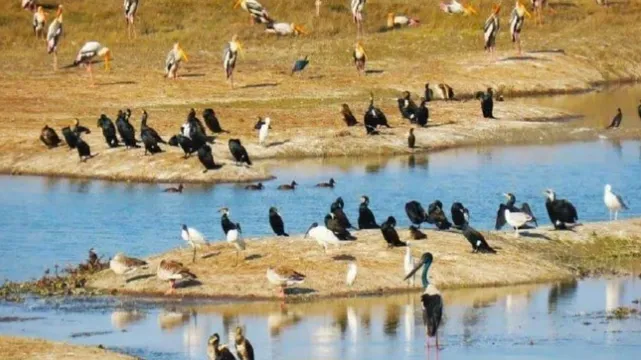 मेरठ: आधी रह जाएगी हस्तिनापुर सेंक्चुरी, नया परिसीमन तैयार