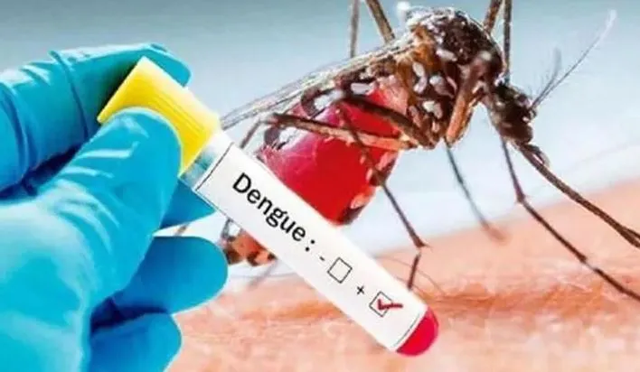 संभल: डेंगू पीड़ित मासूम सहित युवक की मौत, मचा कोहराम