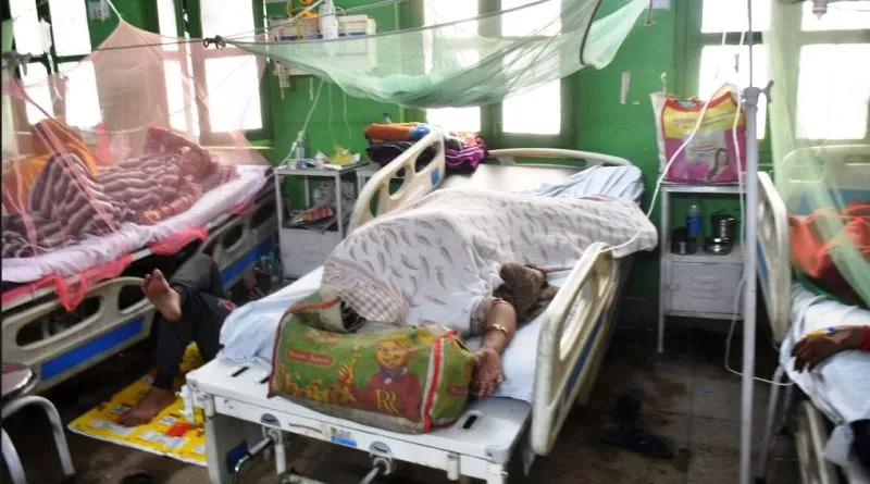 बरेली: अब तक डेंगू के मिले 330 मरीज, देहात क्षेत्र में सबसे अधिक प्रकोप