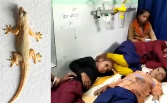 टीचर ने खाने में छिपकली को बताया बैंगन, पीट-पीटकर खिलाया खाना, 200 से ज्यादा बच्चे बीमार