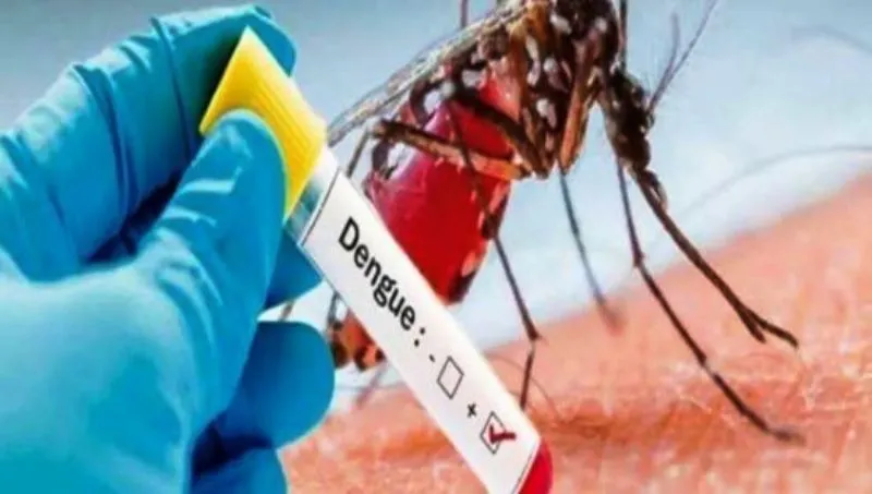 बरेली: डेंगू के मामले 400 के पार, अब स्कूलों में चलेगा लार्वा सर्च अभियान